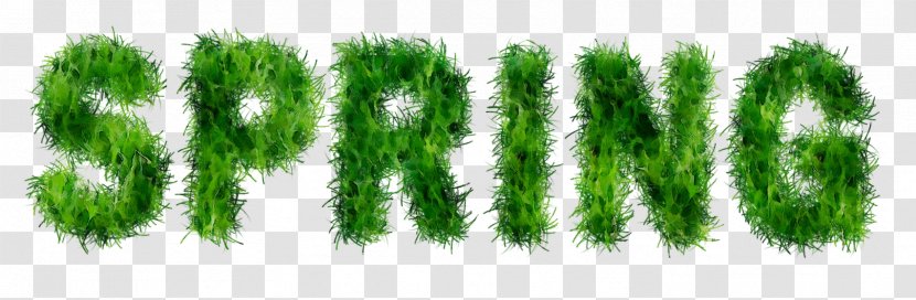 Green Font Line Biome Grasses - Text - Plants Transparent PNG