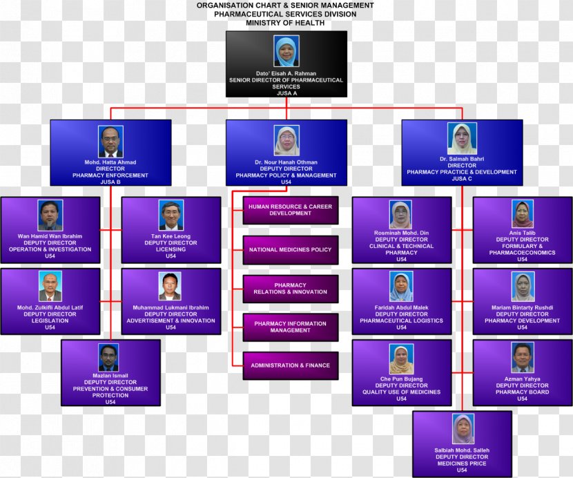 Organizational Chart Structure Company Management - Pharmacy - Human Organization Transparent PNG