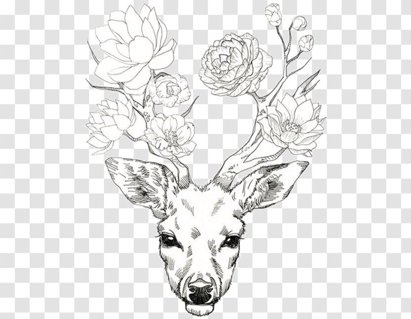 Deer Antler Drawing Flower Elk - Art Transparent PNG