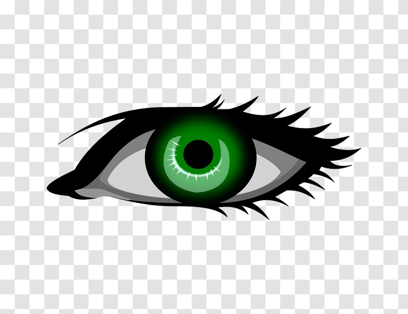 Eye Color Green Clip Art - Flower Transparent PNG