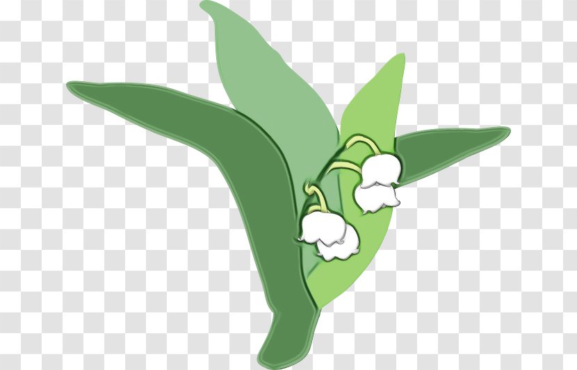 Leaf Green Pollinator - Arum Family - Cattleya Transparent PNG