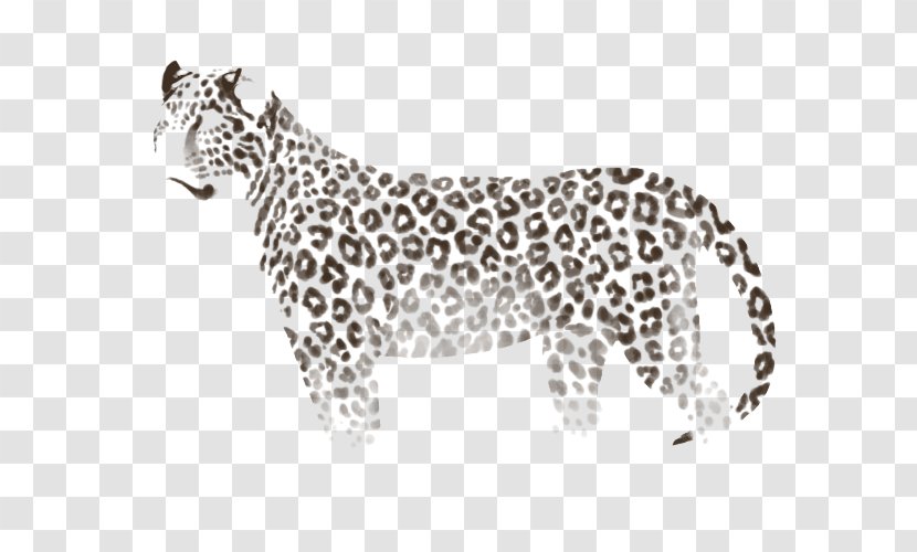 Leopard Jaguar Tiger Cheetah Animal - Mammal Transparent PNG