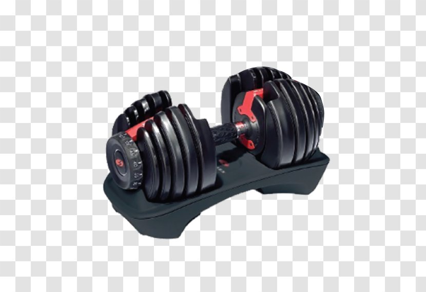 Dumbbell Exercise Bowflex Weight Training Fitness Centre Transparent PNG
