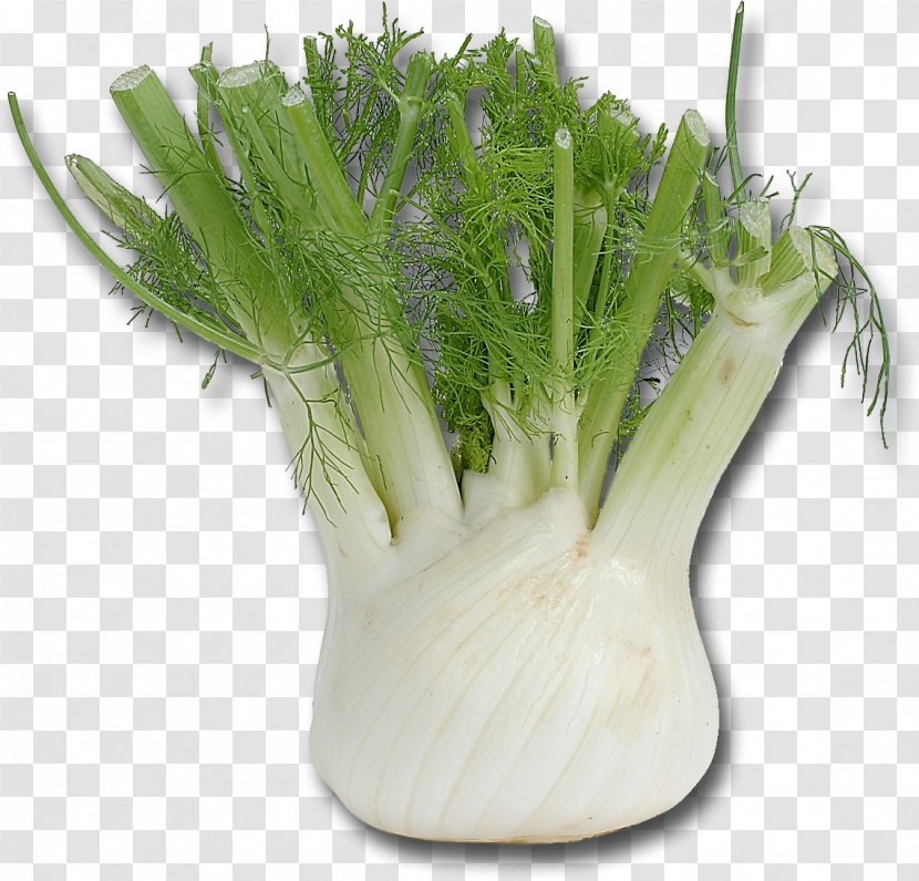 Fennel Mediterranean Cuisine Vegetable Herb Bulb Transparent PNG