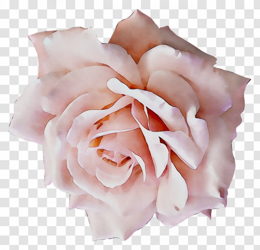 Corsage Garden Roses Formal Wear Wedding Clothing Accessories - Flower Transparent PNG