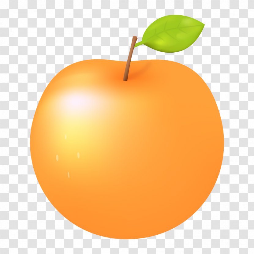 Orange - Peach Tree Transparent PNG