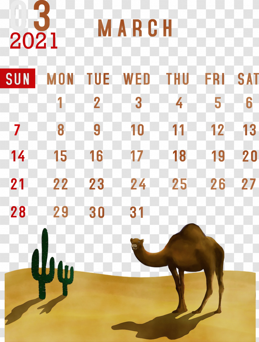 Lunar Calendar Font Meter Calendar System Month Transparent PNG