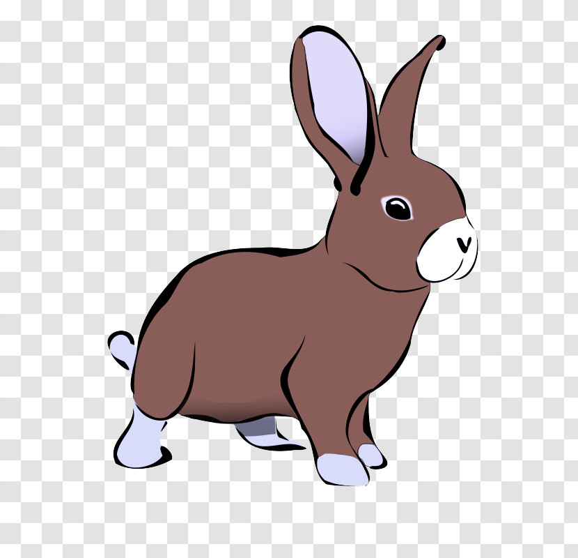 Rabbit Cartoon Rabbits And Hares Hare Snout Transparent PNG