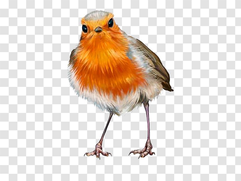 European Robin Oil Painting Stock Photography Transparent PNG
