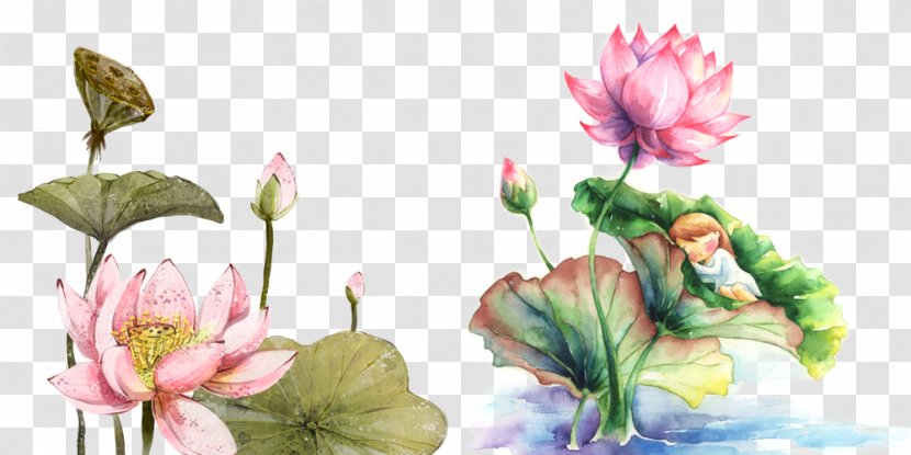 Qiqihar Watercolor Painting Drawing Illustration - Flora - Flowers Transparent PNG