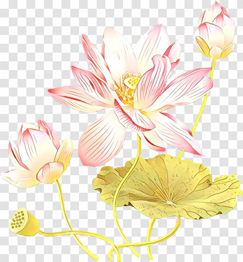 Floral Design Cut Flowers Plant Stem Flowering - Petal - Wildflower Transparent PNG