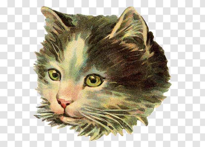 Cat Dog The Crystal Furs Kitten - Paw - Illustration Transparent PNG