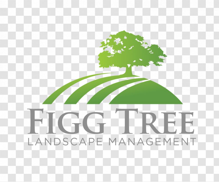 Logo Font Brand Product Tree - Lawn Business Design Ideas Transparent PNG