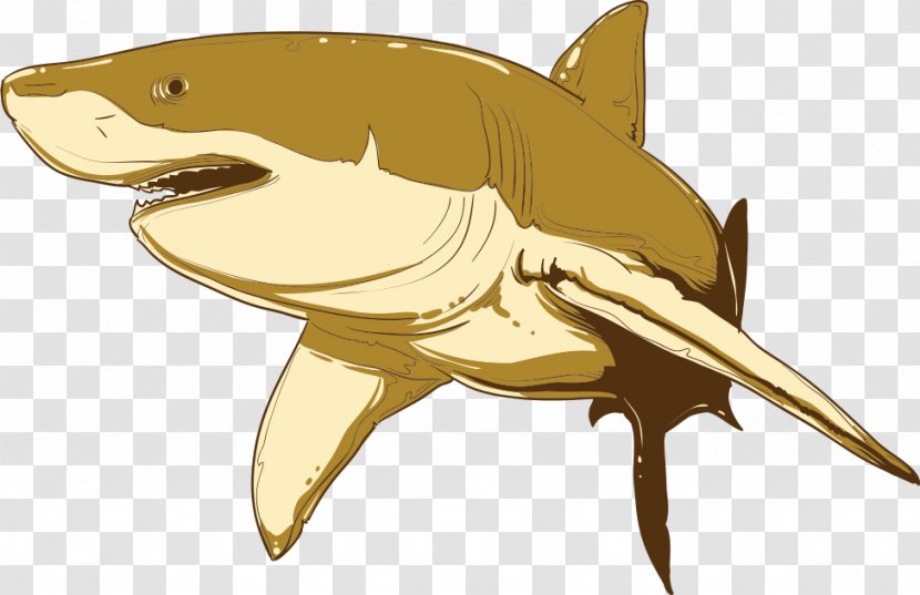 Shark Cartoon Euclidean Vector Illustration - Tail Transparent PNG