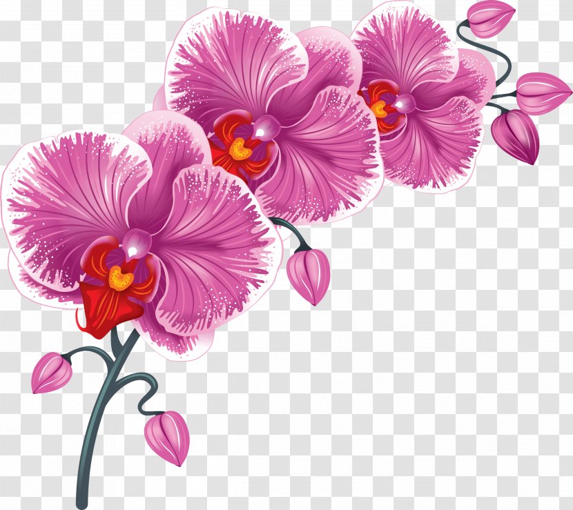 Desktop Wallpaper Flower Clip Art - Flowering Plant Transparent PNG