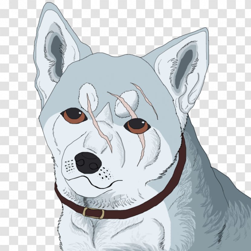 Akita Black Tiger Drawing Whiskers - Carnivora - Shading Transparent PNG