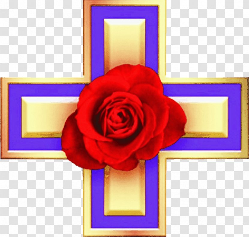 Fama Fraternitatis Cross Rosicrucianism Garden Roses Ancient Mystical Order Rosae Crucis - Red - Rose Family Transparent PNG