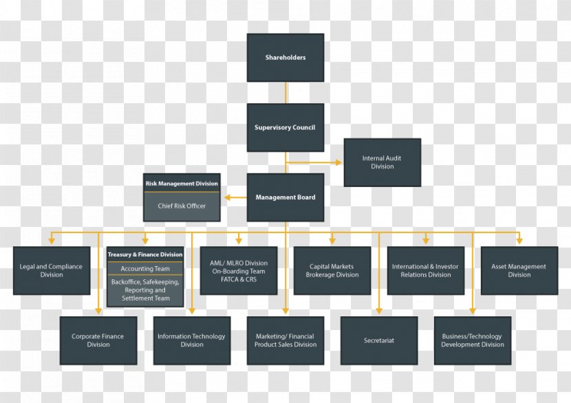 Organizational Structure Chart Management Company - Organization Transparent PNG