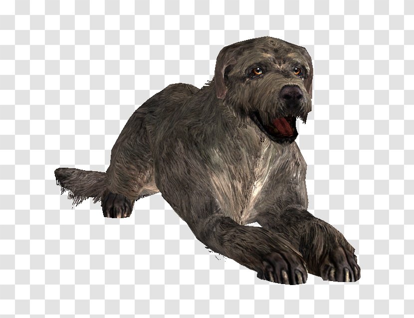 Dog Breed The Elder Scrolls V: Skyrim – Dragonborn Mod Wiki Transparent PNG