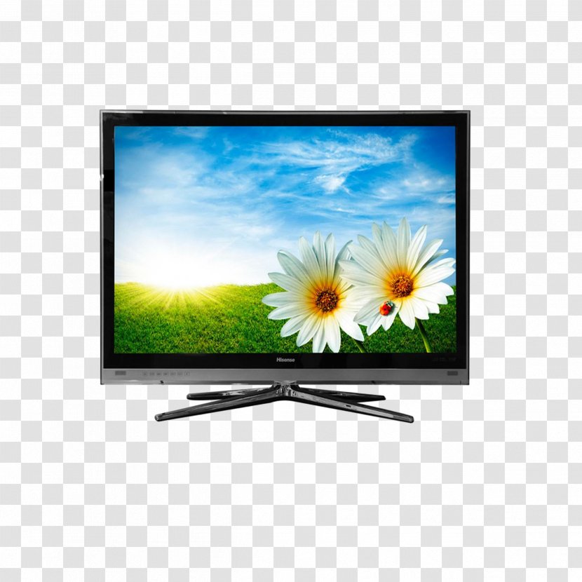 Flower High-definition Television Mobile Phone Wallpaper - Flat Panel Display - Hisense TV Transparent PNG