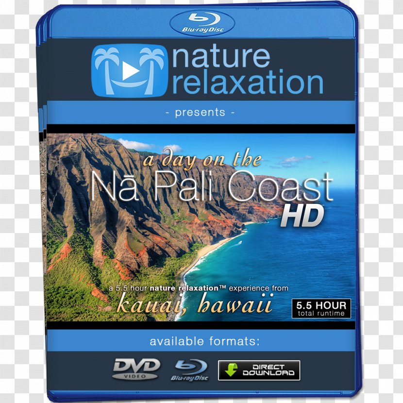 4K Resolution Ultra-high-definition Television 1080p Display - Streaming Media - Relaxation Day Transparent PNG