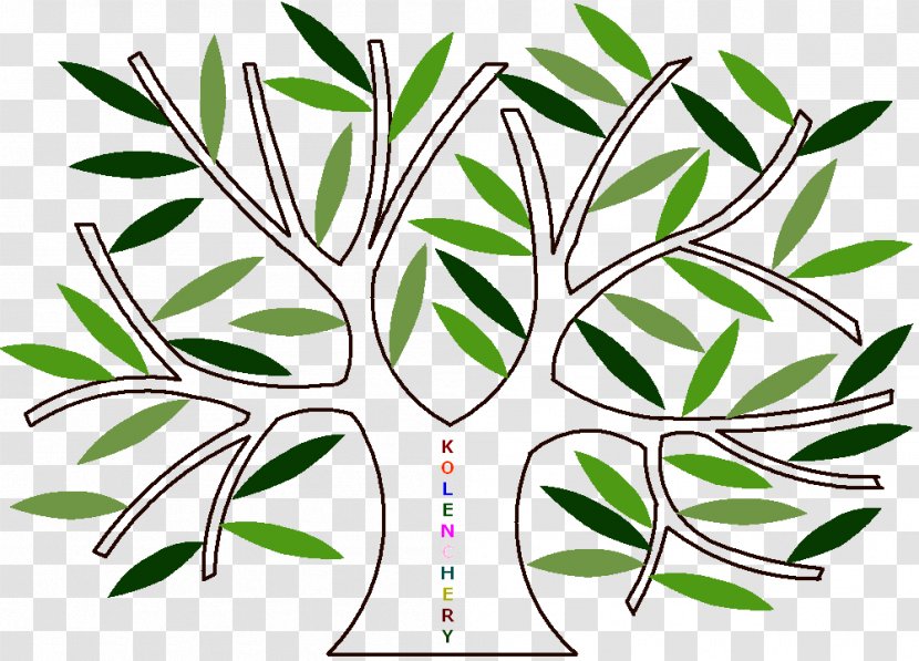 Family Tree Reunion FamilySearch Genealogy Transparent PNG