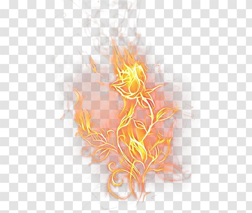 Flame Cartoon - Orange - Art Fire Transparent PNG