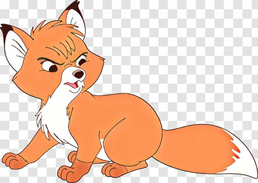 Whiskers Dog Cat Red Fox Paw Transparent PNG