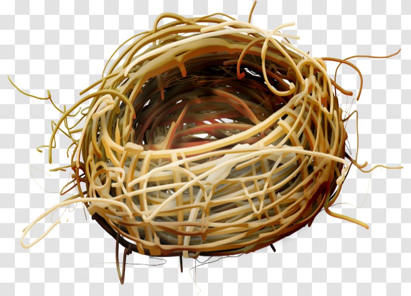 Edible Bird's Nest Bird - Egg Transparent PNG