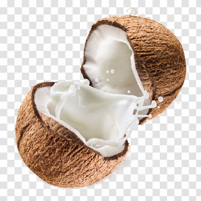Coconut Milk Powder Water - Milky White Juice Transparent PNG