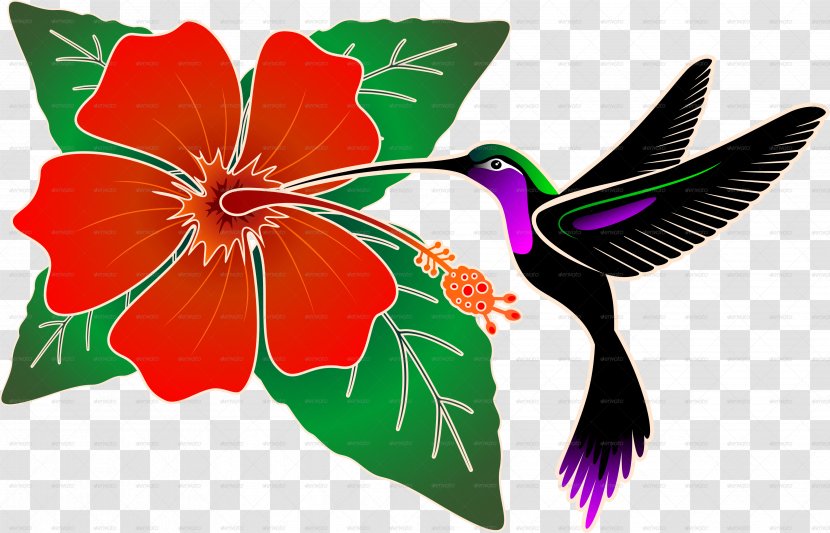 Hummingbird Hibiscus Clip Art - Plant - Batik Transparent PNG