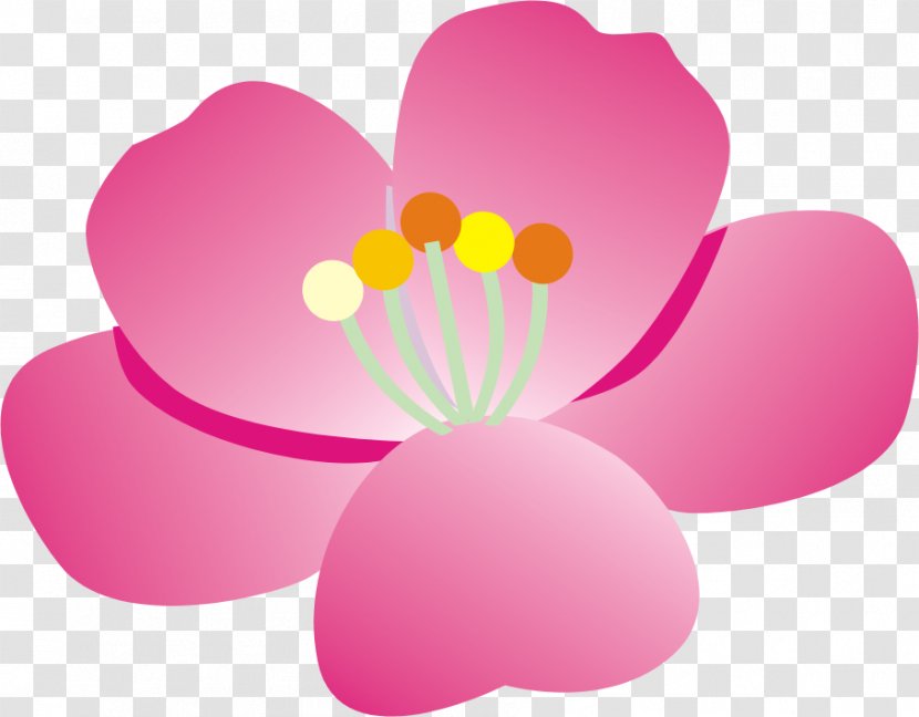 Windows Thumbnail Cache 0 Directory Computer Software - 2008 - Taiwan Flower Transparent PNG