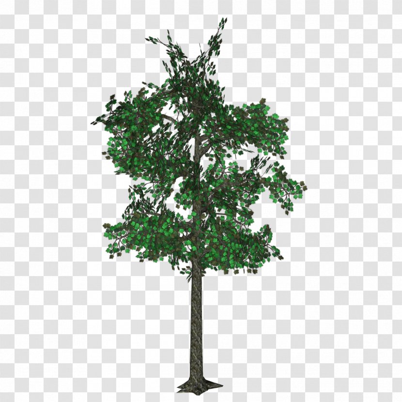English Oak World Menagerie Artificial Foliage Cotinus Coggyria Tree In Pot Image Quercus Cerris - Woody Plant Transparent PNG