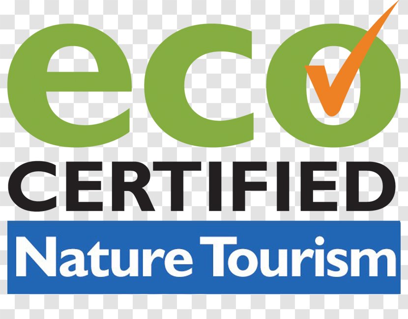 Logo Tourism Brand Adventure Travel Product - Text - Natural Environment Transparent PNG