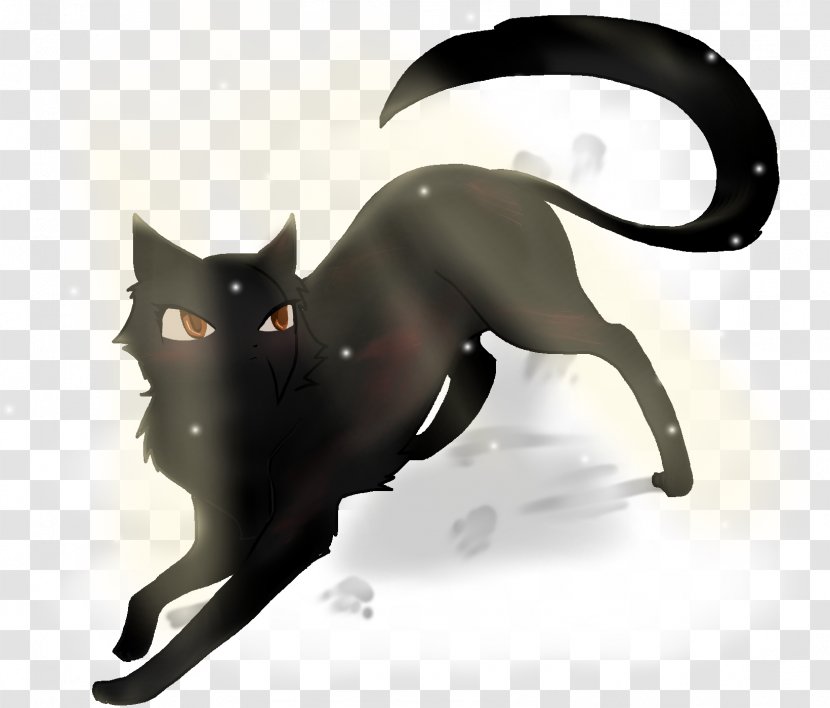 Whiskers Cat Tail - Organism Transparent PNG