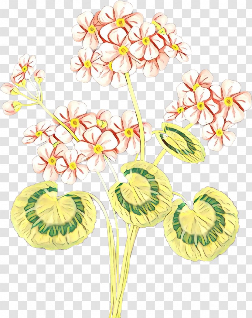 Flower Plant Stem Cut Flowers Anthurium - Cartoon - Perennial Pedicel Transparent PNG