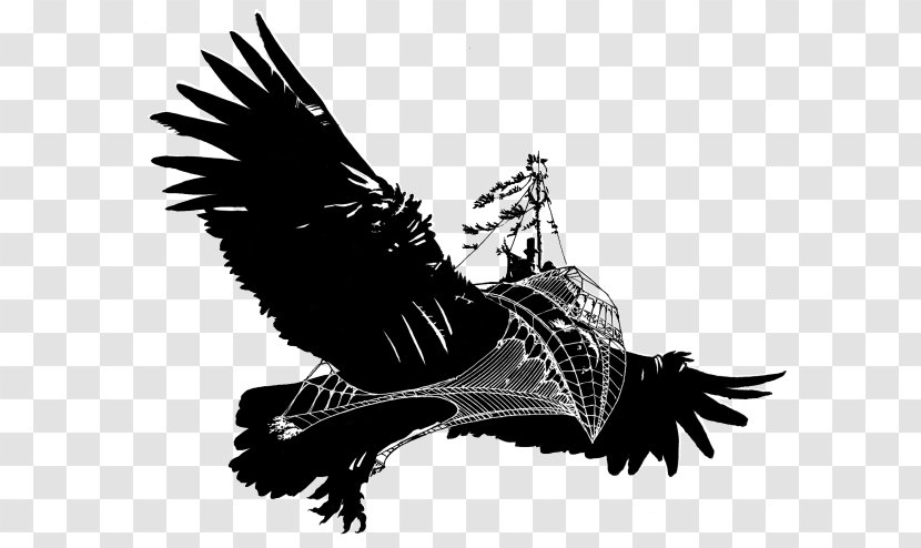 Eagle Beak Feather Silhouette - Black And White - Parrot Pirate Transparent PNG