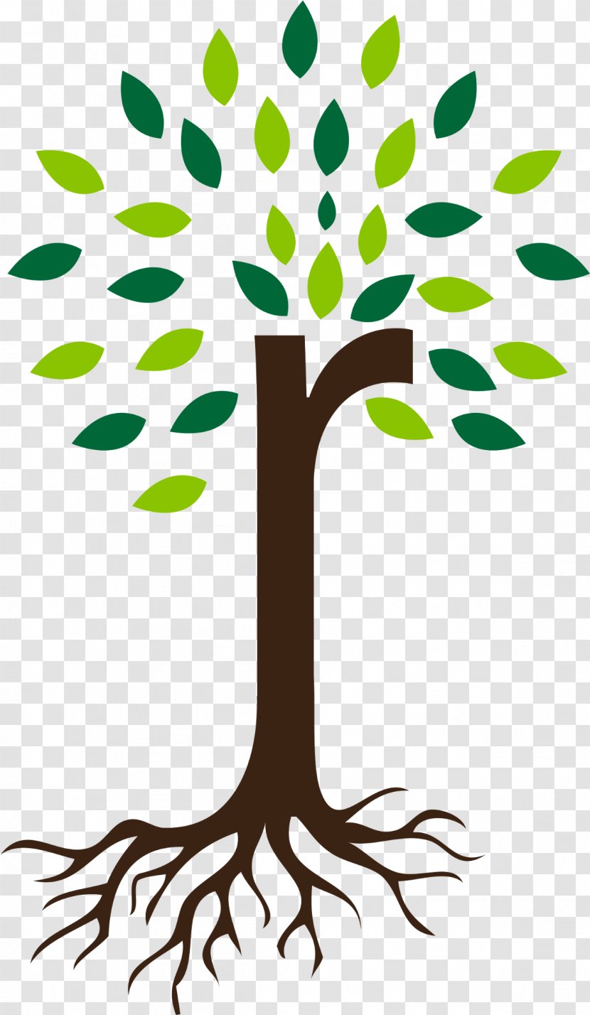 Clip Art Root Tree Nursery Transparent PNG