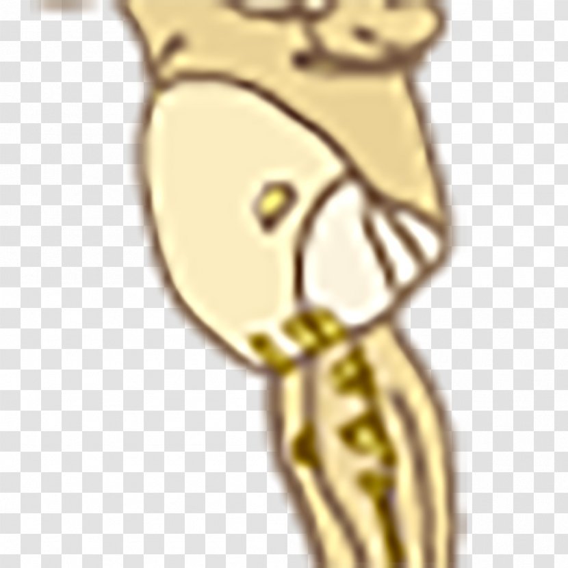 Gold Cartoon Body Jewellery Giraffids - Silhouette - Dog Nervous System Brain Transparent PNG
