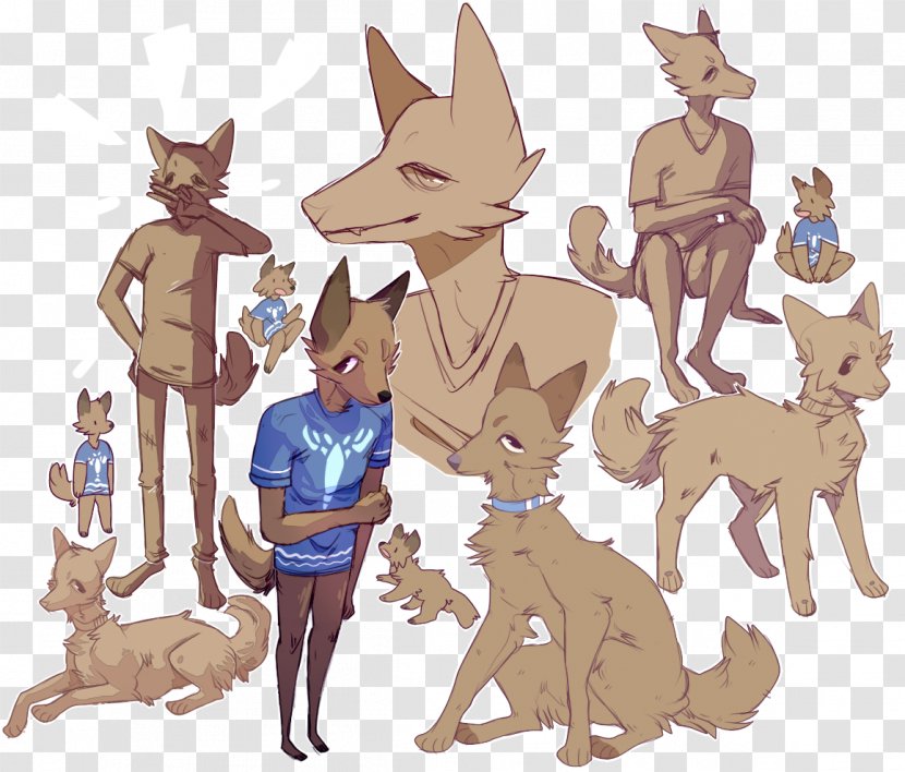 Macropods Cat Fiction Mammal - Vertebrate - Cool Water Transparent PNG