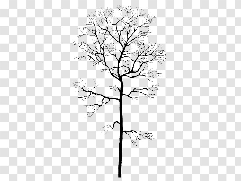 Trunk Tree Winter Computer File - Monochrome Transparent PNG