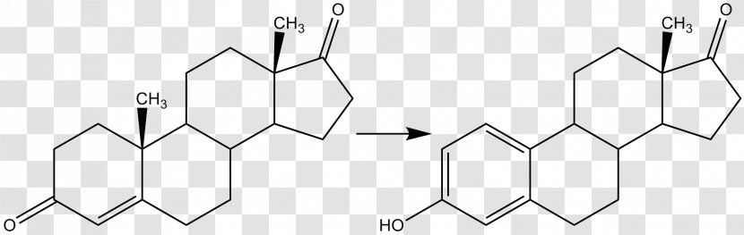 Aromatase Inhibitor Testosterone Estradiol Estrogen - Frame - Cartoon Transparent PNG
