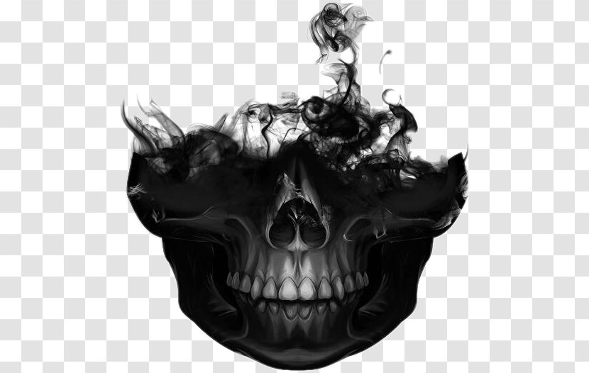 Skull Bone Skeleton Jaw Desktop Wallpaper Transparent PNG