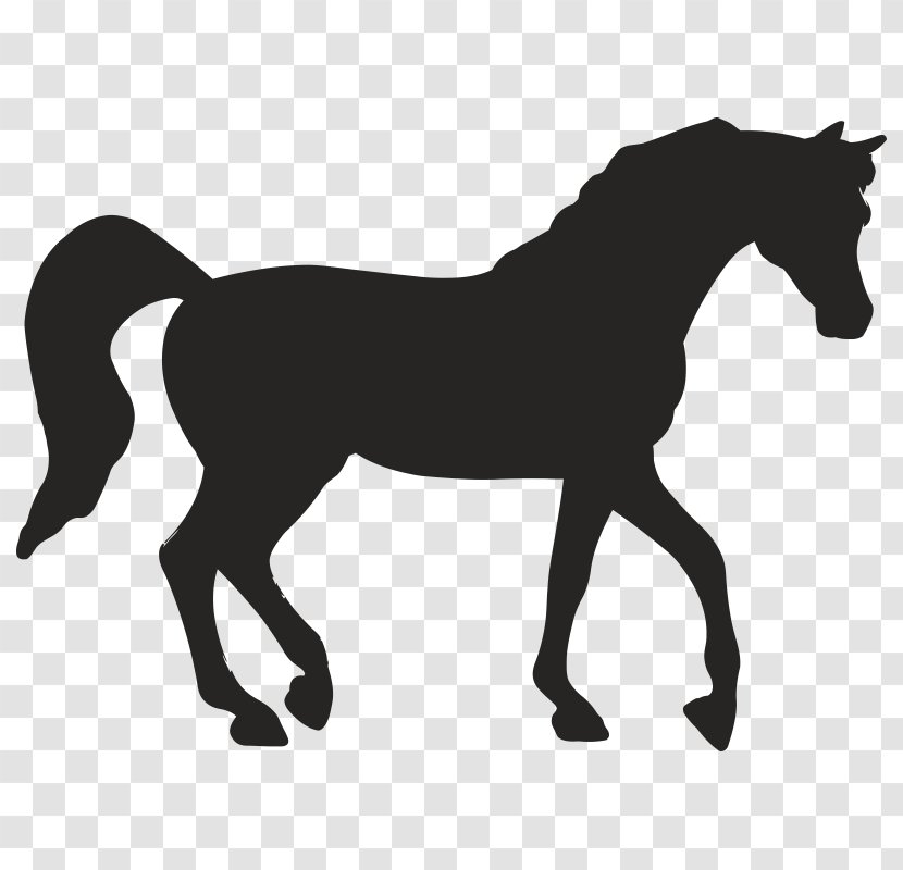 Horse Stencil - Royaltyfree Transparent PNG