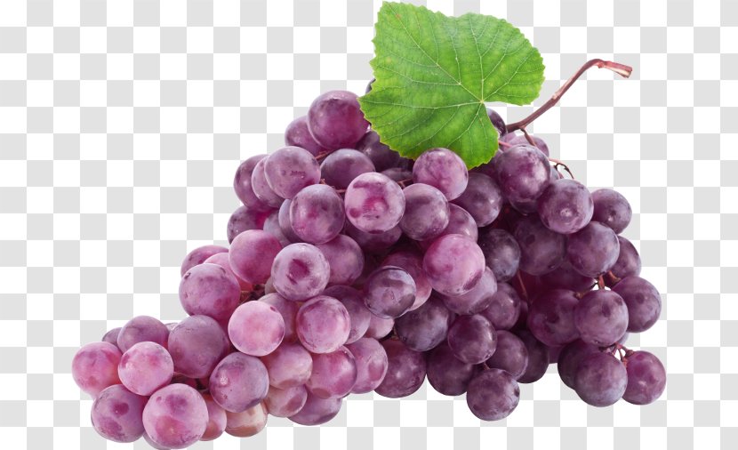 Common Grape Vine Sultana Food Fruit - Grapevine Family Transparent PNG