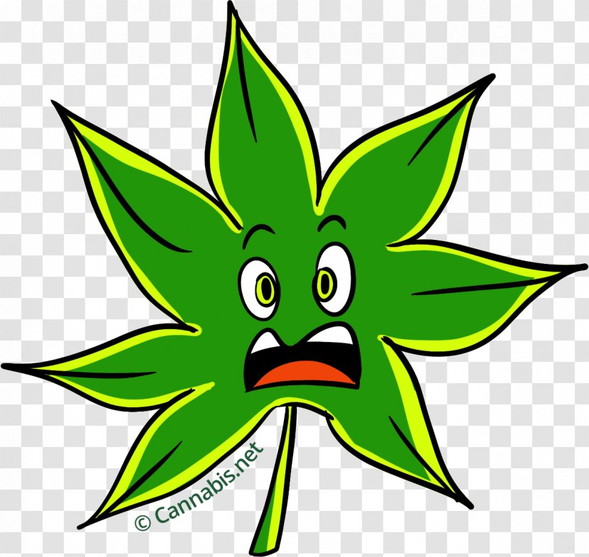 Sour Diesel New York City Cannabis Marijuana Leaf - Flowering Plant Transparent PNG