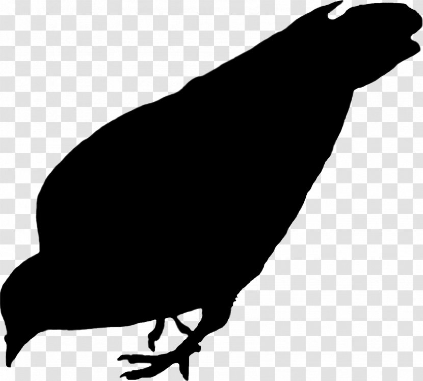 Clip Art Vector Graphics Image - Taiwan - Crow Transparent PNG