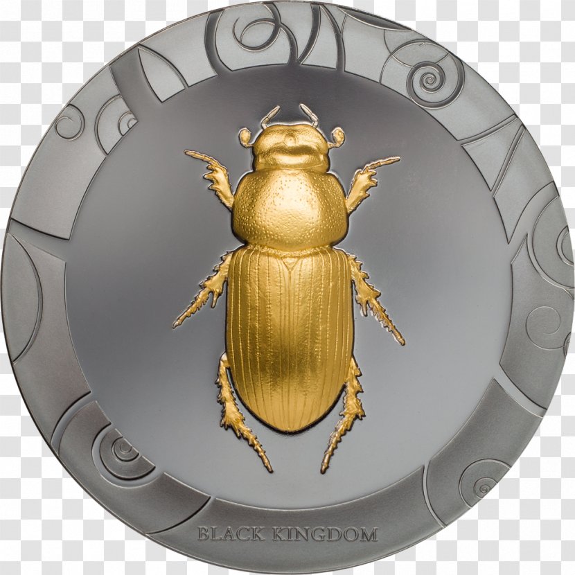 Beetle Scarabaeus Coin Scarabs Transparent PNG