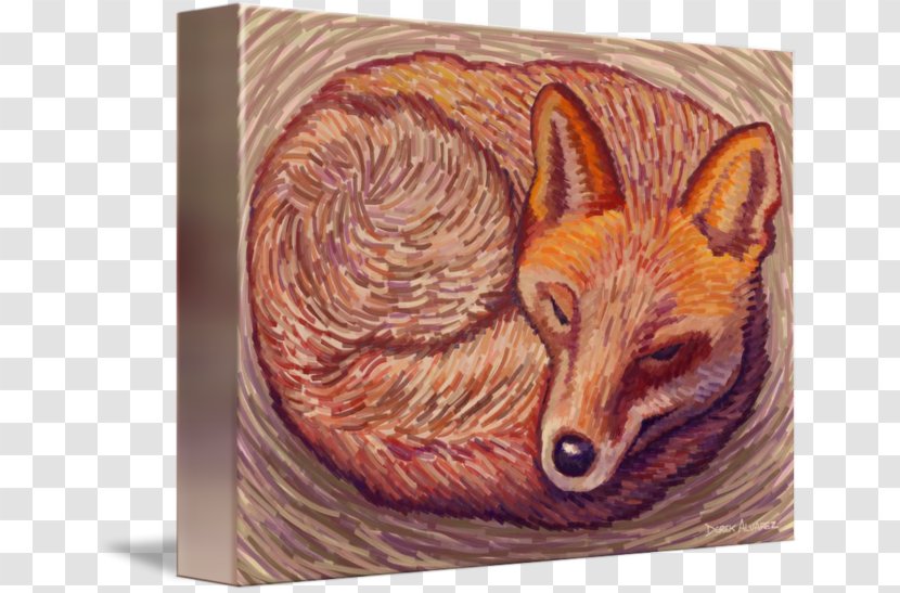 Red Fox Snout - Fauna - Sleeping Transparent PNG