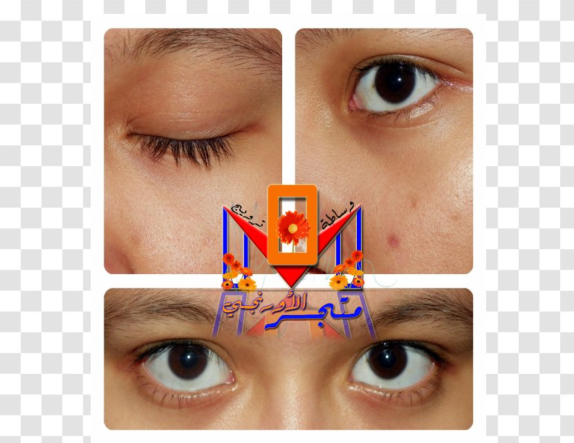 Eyelash Extensions Collagen Muhammad Periorbital Dark Circles - Eye - Women Eyes Transparent PNG